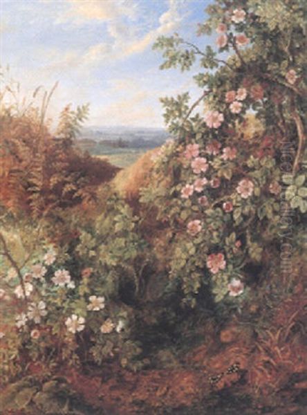 Wild Roses - view 1