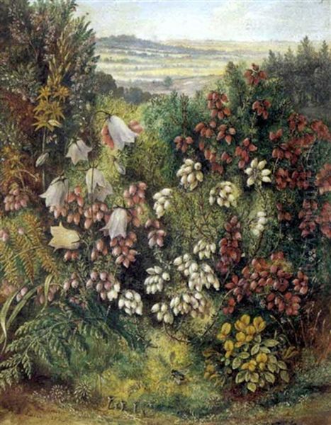 Bog Asphodel, Harebell, Heather, Birds Foot, Trefoil, Dodder - view 1