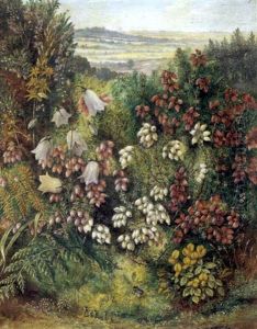 Bog Asphodel, Harebell, Heather, Birds Foot, Trefoil, Dodder by Albert Durer Lucas