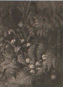 Flowering Heather And Ferns On A Mossy Bank