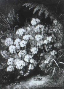 Still Life With Heather