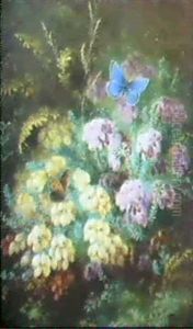 Still Lives With Butterflies And Flowers by Albert Durer Lucas