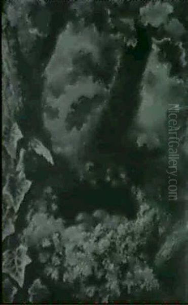 Nest Of The Mistlethrush - view 1