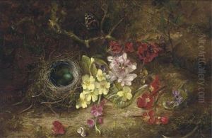 Pansies, Cherry-blossom, A Bird's Nest, And A Red Admiral Butterfly On A Mossy Bank