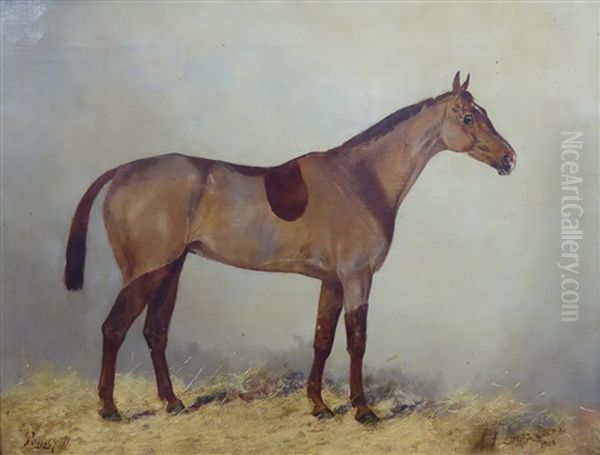 Peggy Ii - view 1