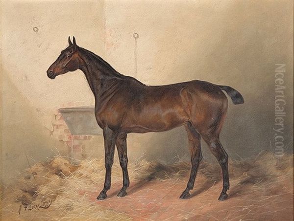 Portrait Of A Hunter In A Stable, Don Ceasar - view 1