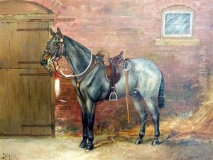 Billy-a Ladysmith Veteran Billy-a Ladysmith Veteran
