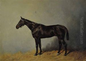 Dragoon