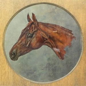 Lord John - Profile Of A Racehorse's Head