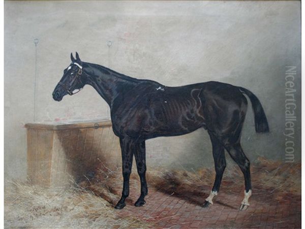Sir Roland - view 1