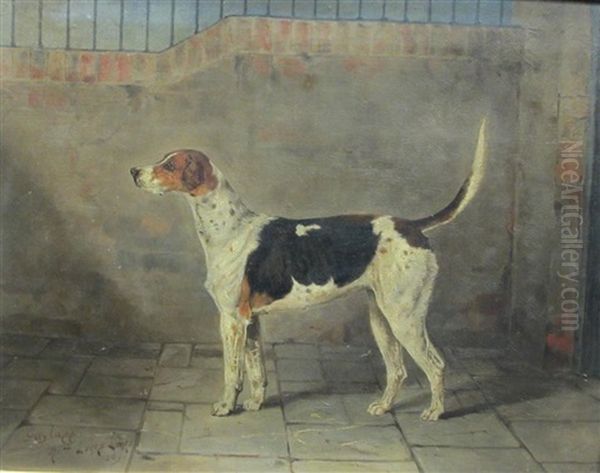 Gaylass, A Foxhound In A Stable - view 1