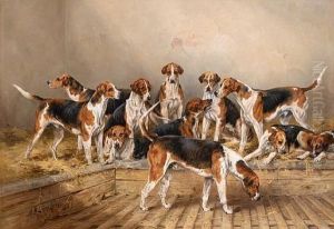 A Group Of Percy Bitches - "needful", "ruby", "priceless", "susan", "dairy Maid", "nickname" And "stella"