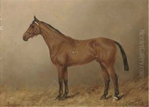"boniface" by Henry Frederick Lucas-Lucas