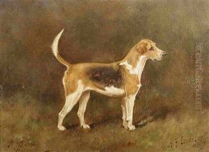 "rally", A Beagle by Henry Frederick Lucas-Lucas