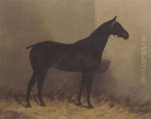 "brownie", A Bay Hunter by Henry Frederick Lucas-Lucas