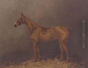 "brampton", A Chestnut Hunter