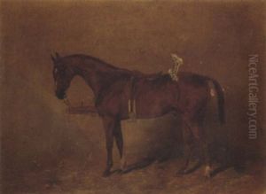 A Saddled Chestnut Polo Pony In A Stable by Henry Frederick Lucas-Lucas
