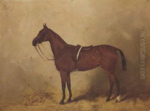 "charmer", A Chestnut Polo Pony In A Stable by Henry Frederick Lucas-Lucas