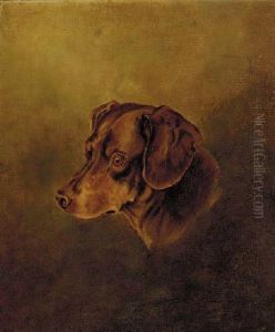 "dachs", The Head Of A Dachshund