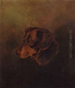 Dachs