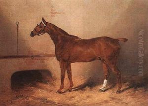The Chestnut "cork" In His Stable