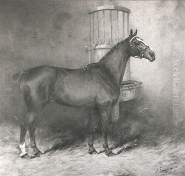 Tom Thumb - Portrait Of A Chesnut Hunter In A Stable        Interior - view 1