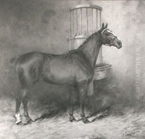 Tom Thumb - Portrait Of A Chesnut Hunter In A Stable        Interior