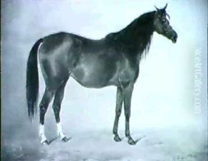 Mint Sauce, A Bay Racehorse In A Stable by Henry Frederick Lucas-Lucas