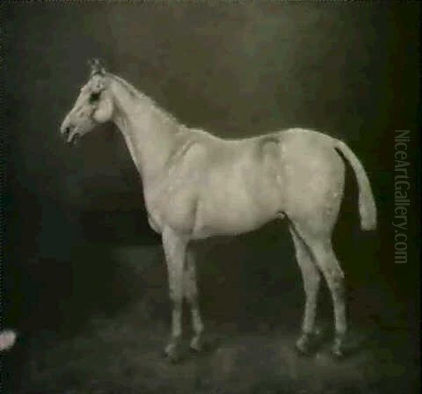 Portrait Of Whetstone In A Stall - view 1
