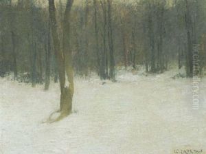 Verschneite Waldlichtung Im Abenddunst