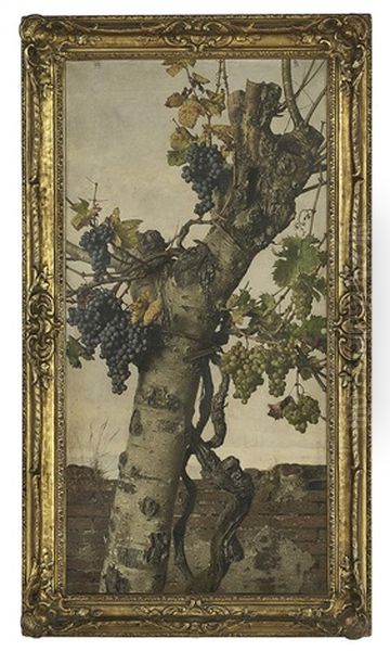 The Bountiful Grapevine - view 1