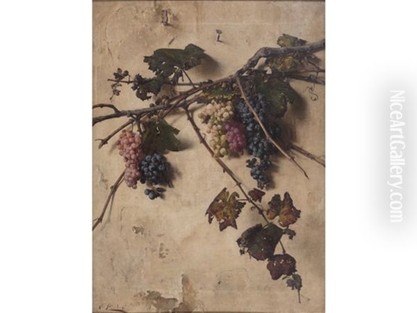 Grappoli D'uva - view 1