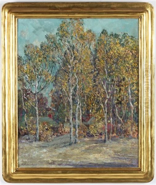 Forest's Edge - view 1