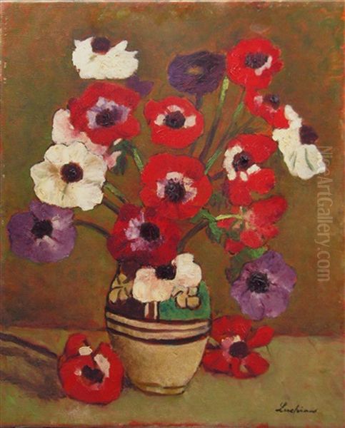 Anemones - view 1