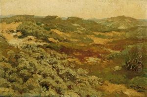 A Dune Landscape