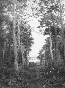 A Sunlit Woodland by Max Ludby