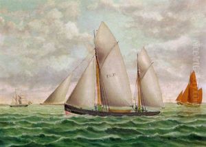 Segler Auf Der Elbe
