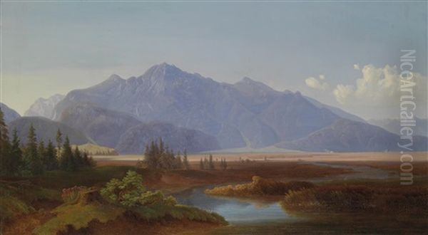 Alpenvorland - Schlehdorf/murnauer Moor - view 1