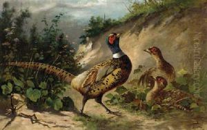 Pheasant by Frederick Von Luerzer