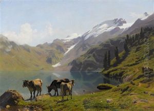 Weidende Kuhe Am Engstlensee Mit Wendestocken Weidende Kuhe Am Engstlensee Mit Wendestocken