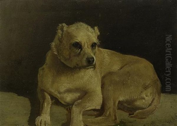 Liegender Hund - view 1