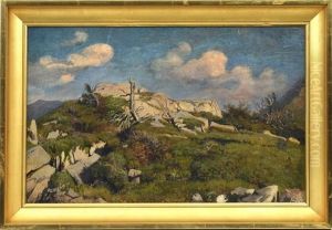 Etude De Rochers Et Souche (study)