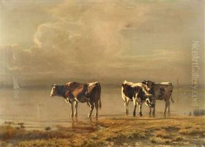 Vacas En Un Lago Vacas En Un Lago