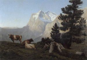 Drei Kuhe Auf Einer Alm Vor Dem Wetterhorn
