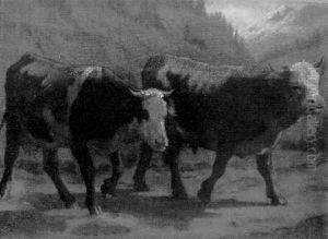 Stier Und Kuh Im Gebirge by Albert Lugardon