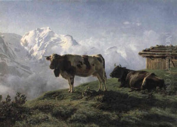 Kuhe Auf Einer Alpweide - view 1