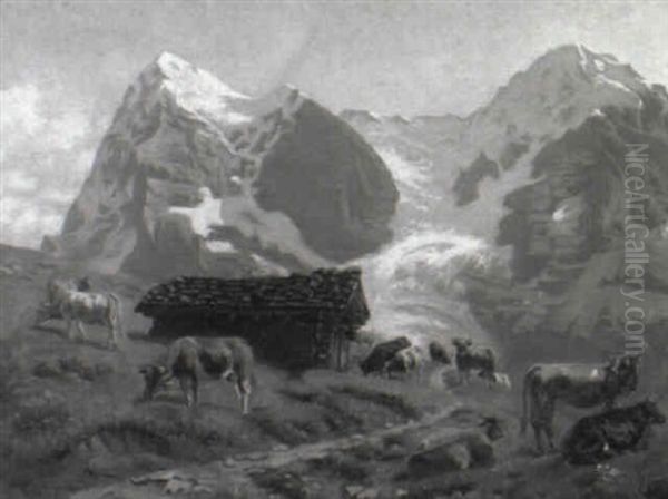 Kuhherde Vor Einem Eisgletscher - view 1