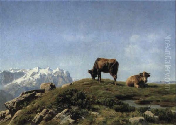 Weidende Kuhe Auf Der Alp - view 1