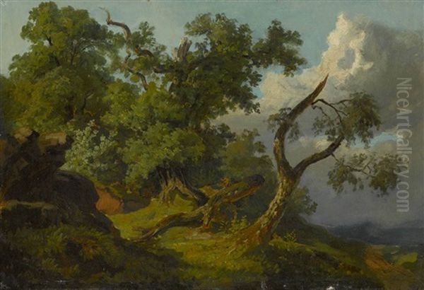Baumlandschaft - view 1