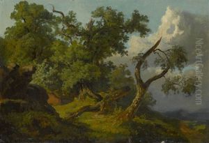 Baumlandschaft Baumlandschaft